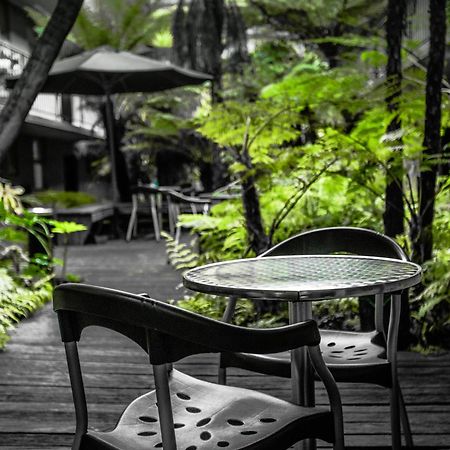 Albert Heights Serviced Apartments Melbourne Ngoại thất bức ảnh